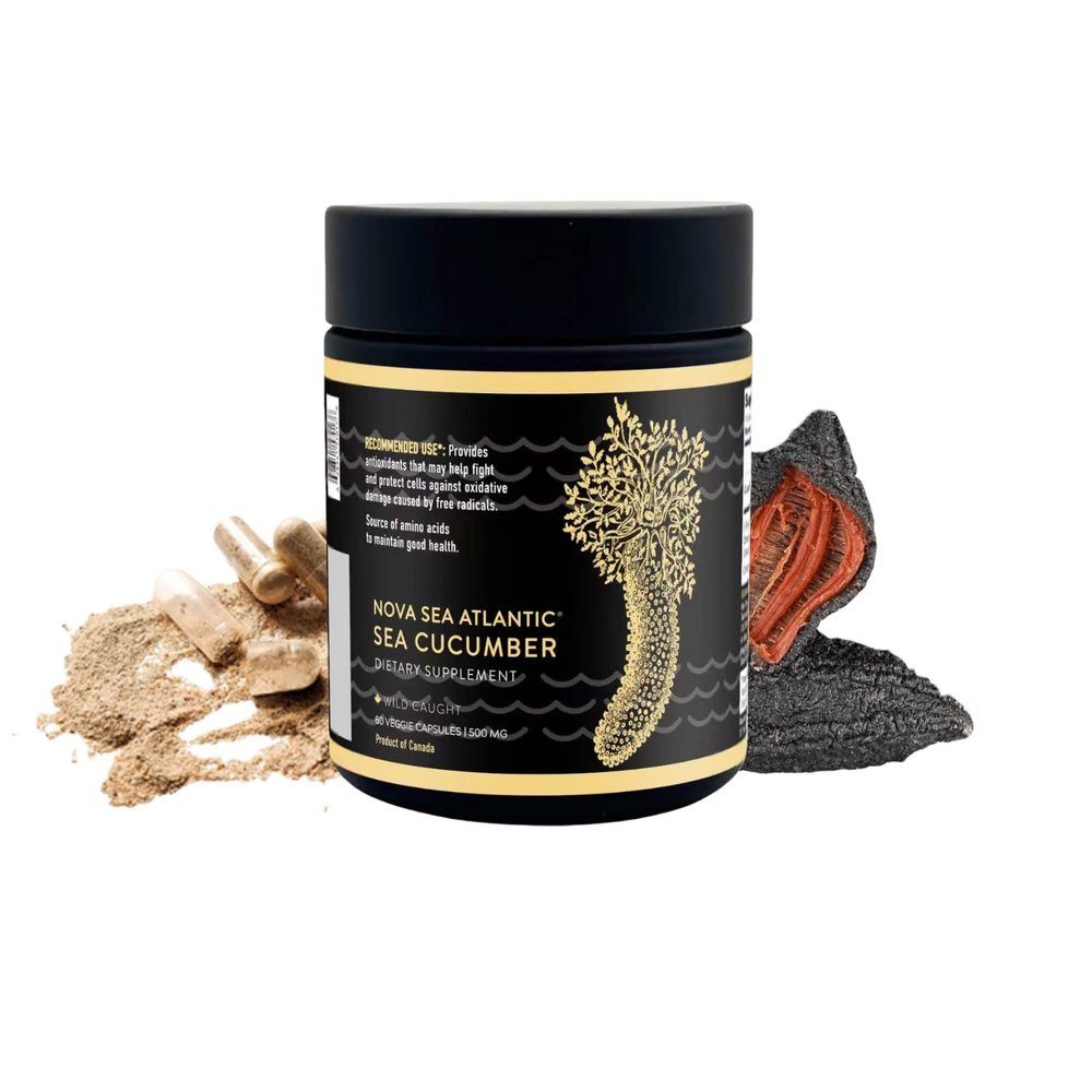 Nova Sea Atlantic Sea Cucumber Supplement, Wild Caught Sea Cucumber Capsules with Vitamins Mineral Natural Antioxidant Supplement for Elderly Adult Child (60 Capsules)