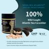 Nova Sea Atlantic Sea Cucumber Supplement, Wild Caught Sea Cucumber Capsules with Vitamins Mineral  Natural Antioxidant Supplement for Elderly Adult Child (60 Capsules) view 2