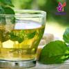 Alebrixes | Boldua Leaves Herbal Tea (4oz)| Premium Quality Whole Boldua Leaves Tea | Te Hoja De Boldo - Peumus Boldus | Wildcrafted. view 4