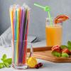 [Individually Wrapped] 300 Pcs Colorful Flexible Plastic Straws, Disposable Bendy Straws, 10.2" Long and 0.23'' Diameter, BPA-Free view 3