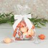 12ct Orange Candy Goodie Bag Party Favors by Just Candy (12 Pack) view 1