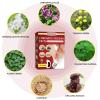 BXQJRJLymphatic Drainage Patch Lymphatic Drainage Herbal Lymphatic Drainage Care Patch Herbal Neck Patch (12) view 3