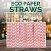 [1000 Count] Chunspak Pink and White Striped Paper Drinking Straws Bulk, 7.75" x0.24", Unwrapped - Biodegradable and Compostable view 4