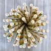500 pcs Disposable Party Paper Drinking Straws Bulk, Fruit Picnic BBQ Cheap Restaurant Coffee Cocktail Juice Bar Hawaiian Luau Tropical Pool Beach Summer Craft Lollipop Cake Pop Sticks (Pineapple) view 4