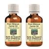 Devprayag Pure Hibiscus Carrier (Infused) Oil (Hibiscus rosa-sinensis) (Pack of Two) 100mlx2 (6.76 oz) view 1