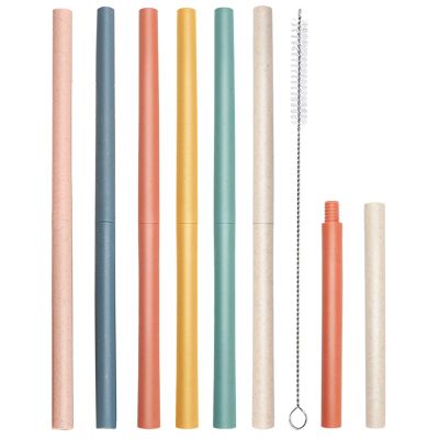Reusable Straws, 6PCS Plastic Straws Bulk Detachable Plastic Drinking Straw Multicolor Thick Plastic Straws with Straw Brush