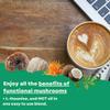 Wonder MCT | Mushroom MCT Coffee Creamer, Organic MCT Oil, Lion's Mane Mushroom, Reishi, Cordyceps, L-Theanine, Pink Sea Salt view 3
