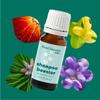 Plant Therapy Kids Shampoo Booster Essential Oil Blend 10 mL (1/3 oz) Naturally Cleanse Buildup, Soften & Strengthen Hair view 3