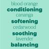 Plant Therapy Kids Shampoo Booster Essential Oil Blend 10 mL (1/3 oz) Naturally Cleanse Buildup, Soften & Strengthen Hair view 4