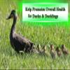 Kelp Meal Feed for Chickens and Ducks (15 oz) Vitamin Supplement view 4
