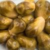 Amish Wedding Mild Pickled Brussel Sprouts, Two 16 oz Glass Jars view 4