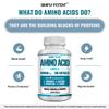 Simply Potent Amino Acid Complex 1800mg 200 Capsules, Blend of 4 Essential and Non Essential Amino Acids, Includes L-Arginine 550mg, L-Ornithine 500mg, L-Glysine 400mg & L-Lysine 350mg for Muscle view 4