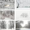 Small World Greetings Winter Scenes Cards 12 Count - Blank Inside with Envelopes - A2 Size (5.5x4.25) - Happy Holidays, Christmas, Winter Events, and More view 1