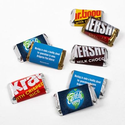 75ct Personalized Earth Day Candy Party Favors Miniatures Chocolate (75 Pack) - Candy Included