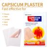 24 Pcs Capsicum Plaster Capsaicin Patch (7.09 * 4.72 in), Porous Capsicum Heat Plaster view 2