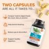Zenwise Health No Bloat Digestive Enzymes for Gut Health, Gas & Bloating Relief - Multi Enzymes Digestion Supplement with Probiotics, Ginger, Turmeric Dandelion & Lactase - Men & Women - 100 Count view 3