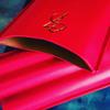 Lipstick And Smoke Red Cigar Case view 2