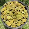 1/2 lb Bulk Wholesale Lot Natural Rough Green Opal (Raw Crystal Gem Stones 8 oz) view 2