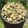 1/2 lb Bulk Wholesale Lot Natural Rough Green Opal (Raw Crystal Gem Stones 8 oz) view 4