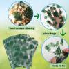 LEOSINDA 100 Pcs Clear Cellophane Treat Bags, 6 X10 Inches Hawaiian Palm Leaf Cellophane Cookie Bags for Gift Wrapping,Packaging Candies,Dessert,Bakery, Candy, Chocolate,Party Decorations view 3