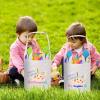 3 Pcs Personalized Easter Basket Empty, Touber Easter Baskets for Kids Easter Bunny Baskets Easter Basket with Name Custom Easter Basket Easter Gifts Baskets Easter Egg Hunt Basket view 2