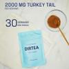 DIRTEA Turkey Tail Mushroom Powder | 2,000mg / Serving | Organic, Vegan & Non GMO | Immune System & Digestion | High Strength Supplement | 60g - 30 Servings view 3
