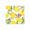 Caspari Limoncello Boxed Cocktail Napkins - 40 Per Box view 1