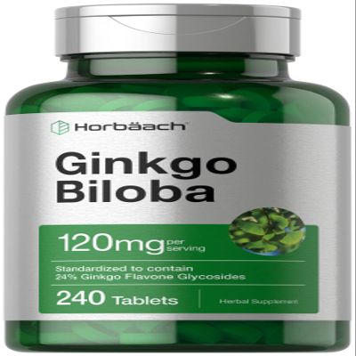 Horbach Ginkgo Biloba Supplement | 120mg | 240 Tablets | Standardized Herbal Extract | Flavone Glycosides | Vegetarian, Non-GMO, and Gluten Free