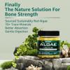 (2 Pack) Calcium Gummies for Women, Sugar Free Calcium Supplement from Sustainable Algae (3rd Party Tested) with Vitamin D3 K2, C, Zinc, Boron, Manganese for Bone Strength, Calcium Absoption, Vegan view 4