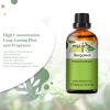 Bergamot Essential Oil 1.01fl.oz/30ml, PHATOIL Bergamot Oils Long Lasting Scents for Aromatherapy, Diffuser, DIY Soap and Candle Making view 2