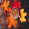Gourmet Du Village Instant Coffee Mix (Mini Hot Choco) view 3