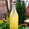 Cultures for Health ENDLESS Fresh Water Kefir Grains | DIY Fermented Probiotic Drink Enhances Gut Health | Heirloom Live Kefir Starter Makes Limitless Supply | Non-GMO Dairy Free Vegan Sparkling Water view 3