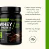 Swanson Full Potential Whey Protein - Chocolate view 4
