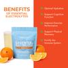Paleovalley Essential Electrolytes Powder - Full Spectrum Orange Electrolyte Powder for Hydration, Energy and Muscle Recovery - No Sugar Added - 30 Servings view 3