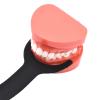 Angzhili 2 pcs Silicone Dental Orthodontic Photography Contraster,Bendable Intraoral Photography Background Board,Black Background Board Contraster (C1+C2) view 3