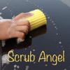 Scrub Angel view 2