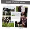 balacoo Cow Pregnancy Kit 2 Pack Early Detection for Cattle Fast Accurate Livestock Health Testing Results in 10 Minutes view 2