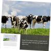 balacoo Cow Pregnancy Kit 2 Pack Early Detection for Cattle Fast Accurate Livestock Health Testing Results in 10 Minutes view 3