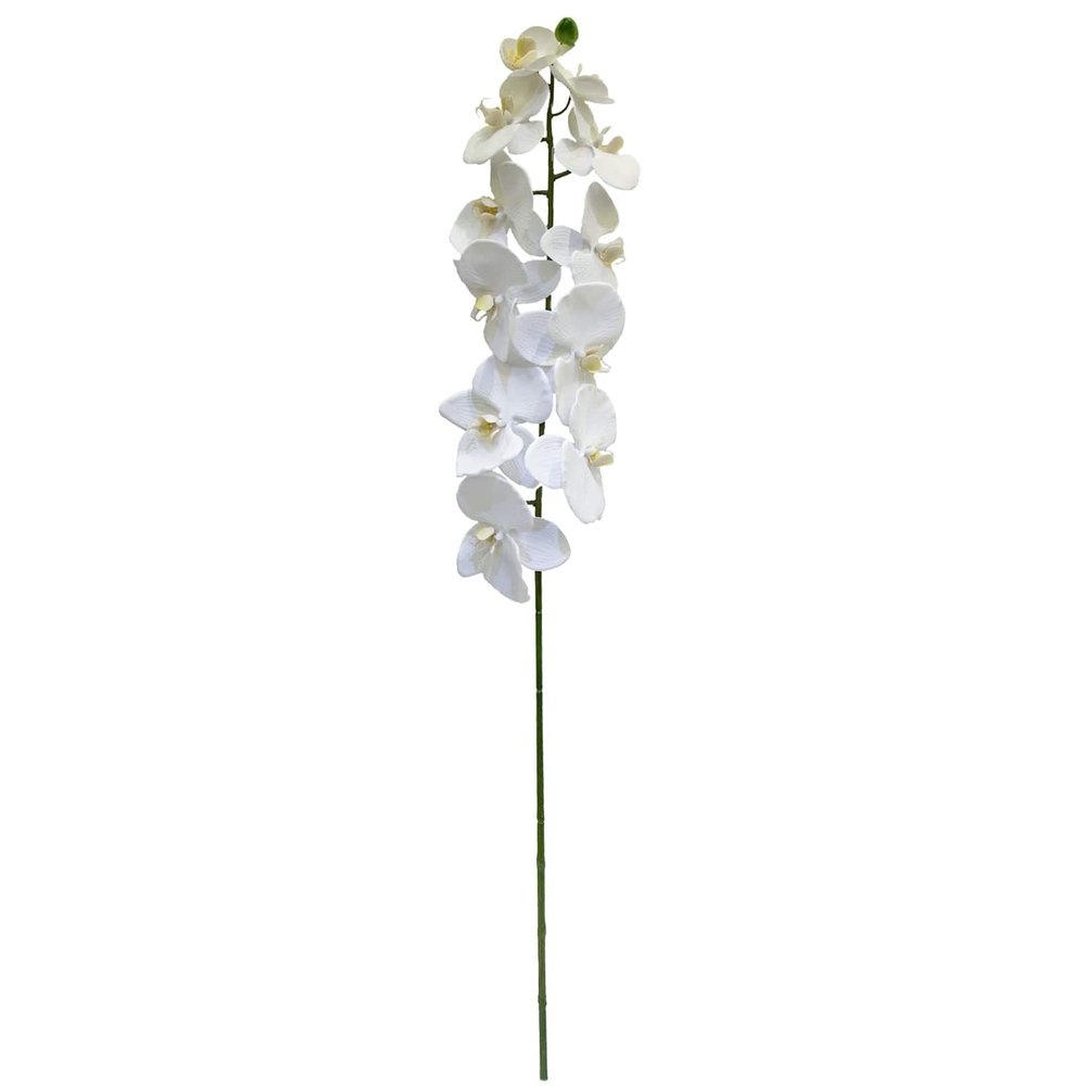 Ashland White Orchid Stem