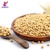 Alebrixes | Soybeans 9 oz (250g) | Premium Quality Gourmet Soybeans | Frijol de Soja Premium | Soya- Glycine Max | Non-GMO | Vegetarian | view 3