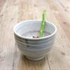 [Amazon.co.jp Exclusive] [Commercial Use] Udon, Buckwheat and Set Meal Shop's Classic Kiln Flame Brush Powder 4.0 Favorite Bowls, 3 Pieces view 3