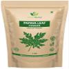 Papaya Leaves Powder 454g (1lb / 16 oz) | Carica Papaya | Papaya Leaf Powder Benefits Hair and Skin| Non GMO (1 Pound(16 Oz)) - Green Nectar view 1