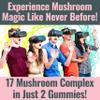 SHIZAM 17 Mushroom Complex Gummies for Adults Chaga Lions Mane Cordyceps Reishi Lion's Mane Turkeytail Turkey Tail, Better Daily Supplement Alt for Capsules & Powder Vitamins Super-Food Blend 10 view 2