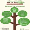 CollaFusions 24 Servings, 20g Whey Protein Isolate, 5g Collagen Peptides, Vitamin C & D, Health, Beauty, Recovery, Chocolate view 2