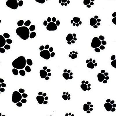 Puppy Paw Tissue Paper - 20in.x30in. - 48 Sheets