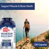 Pure North Naturals - Magnesium Bisglycinate Complex 200mg, (200+30) V-Caps - Helps in The Development and Maintenance of Bones and Teeth - Helps The Body to Metabolize Carbohydrates, Proteins & Fats view 4