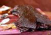 Mahogany Smoked Meats: Jerky Medley - 16oz view 4