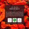 Brimstone Rimshot - Extra Hot Roasted Red Pepper & Tahini Hot Sauce by Harmacy Hot Sauce Co, 9oz, Award-Winning Small-Batch Artisan Spicy Sauce  Vegan, Gluten-Free, Bold Mediterranean Flavor & Heat view 3