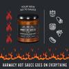 Brimstone Rimshot - Extra Hot Roasted Red Pepper & Tahini Hot Sauce by Harmacy Hot Sauce Co, 9oz, Award-Winning Small-Batch Artisan Spicy Sauce  Vegan, Gluten-Free, Bold Mediterranean Flavor & Heat view 4