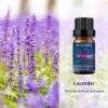 BURIBURI Lavender Essential Oil and Vanilla Oil Essential Oil Set, 100% Pure, Undiluted, Natural Essential Oils Mother's Day Gift Set for Diffuser, Massage (Lavender+Vanilla) view 2